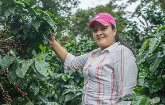 Café de Mujeres Cocafelol Espresso, Honduras (Organic, Fair Trade)