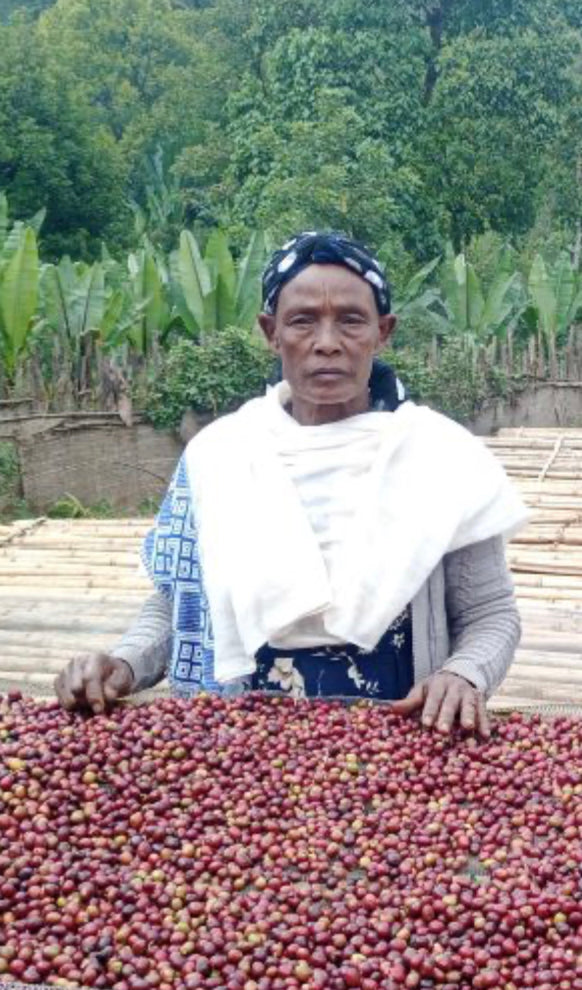 Mrs Butu Galcha Filter, Ethiopia