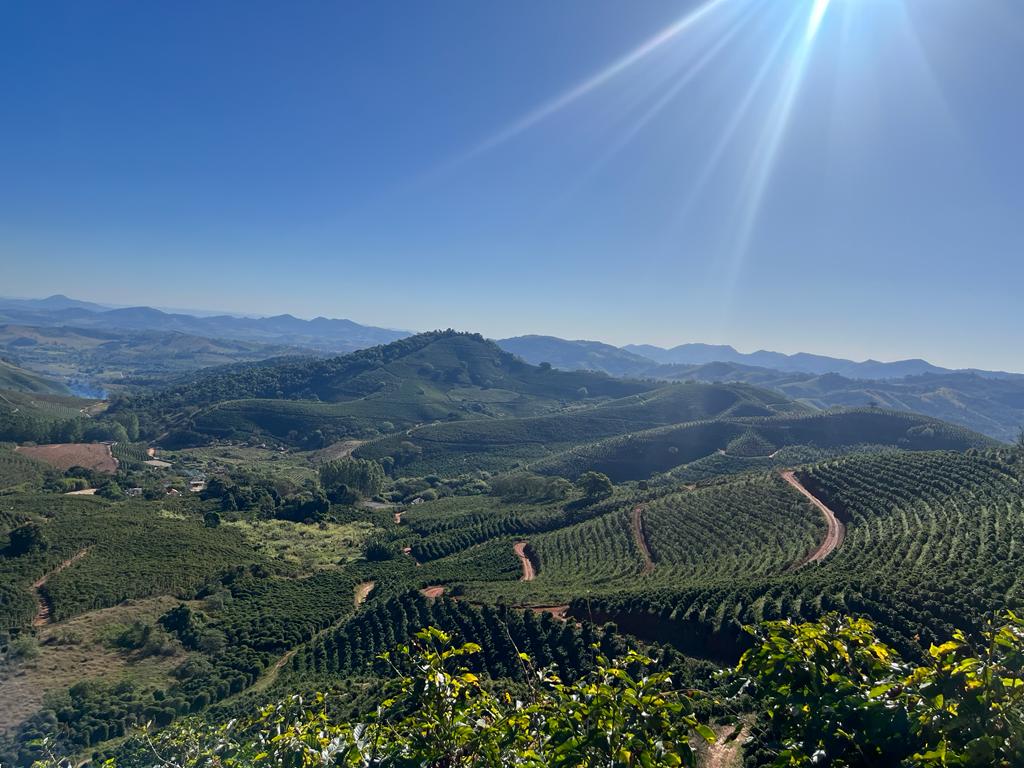 Carolina's Red Catuaí Espresso, Brazil