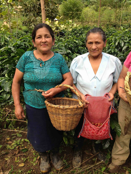 Café Femenino Cecanor Espresso, Peru (Organic, Fair Trade)